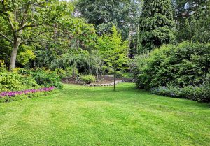 Optimiser l'expérience du jardin à Brehemont